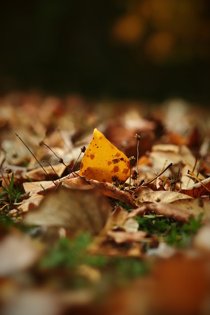 还能在防守 还能在防守