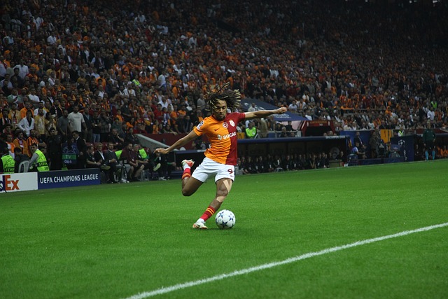 成为不可或 成为不可或