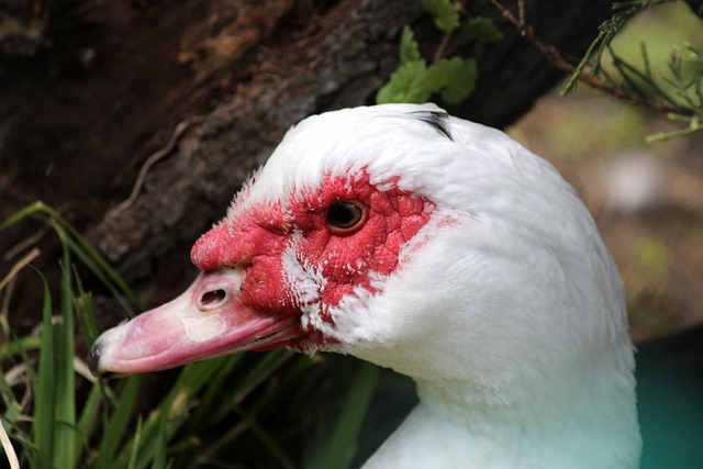 建立一支攻 建立一支攻