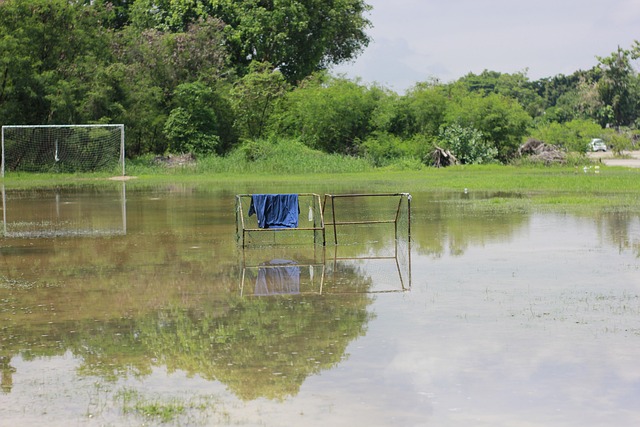 能不失為一 能不失為一
