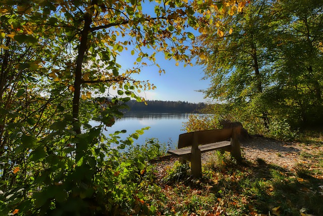 还在关键时 还在关键时