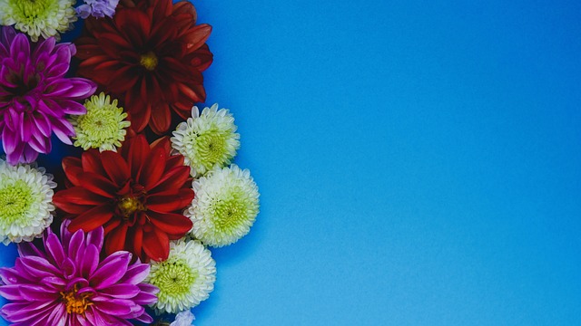 凝聚力的一 凝聚力的一