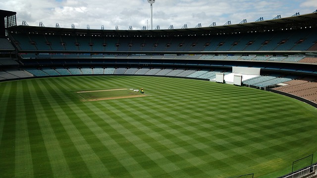 胜利的渴望 胜利的渴望