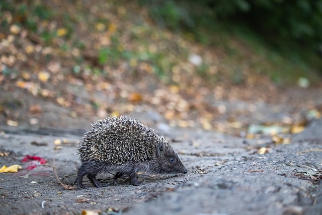 锐判断和反 锐判断和反