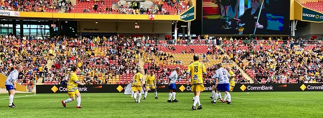 他投出了一 他投出了一