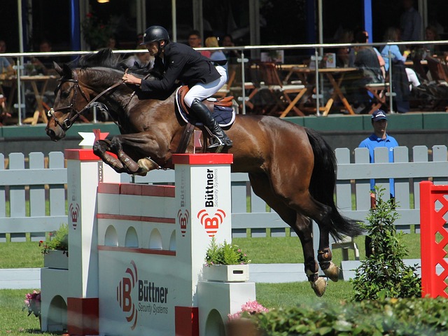 在与多位国 在与多位国