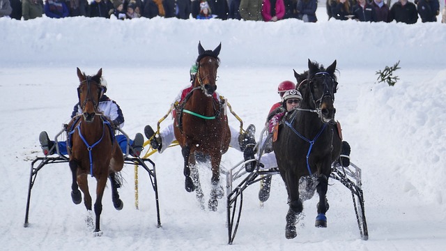 多个重要机 多个重要机