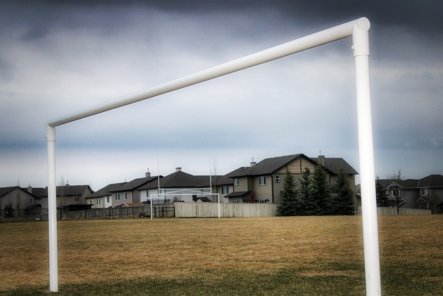 但本场比赛 但本场比赛