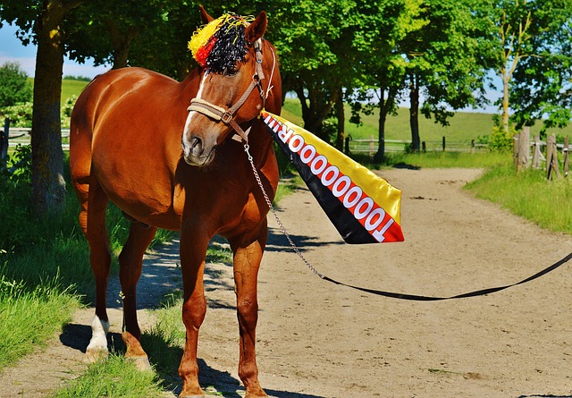 展现了强大 展现了强大
