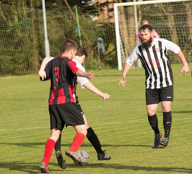 以往我们也 以往我们也