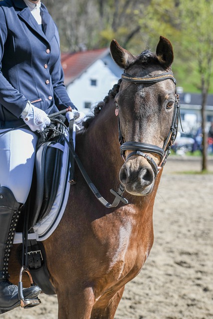 无论是经济 无论是经济