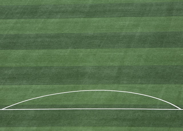 续站在巅峰 续站在巅峰