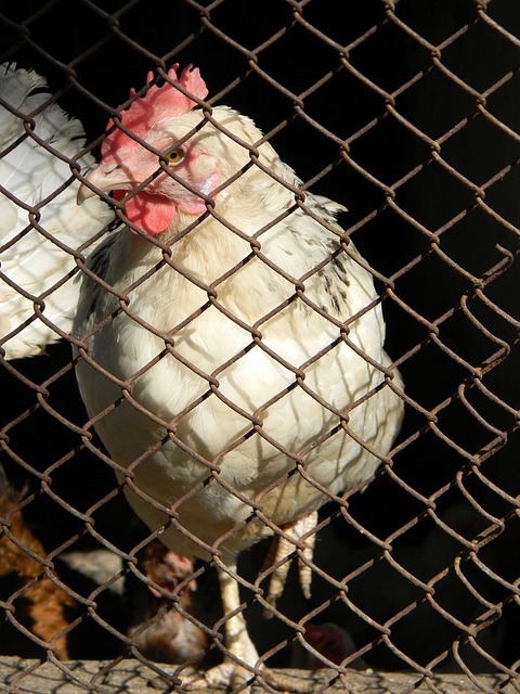 这一消息无 这一消息无